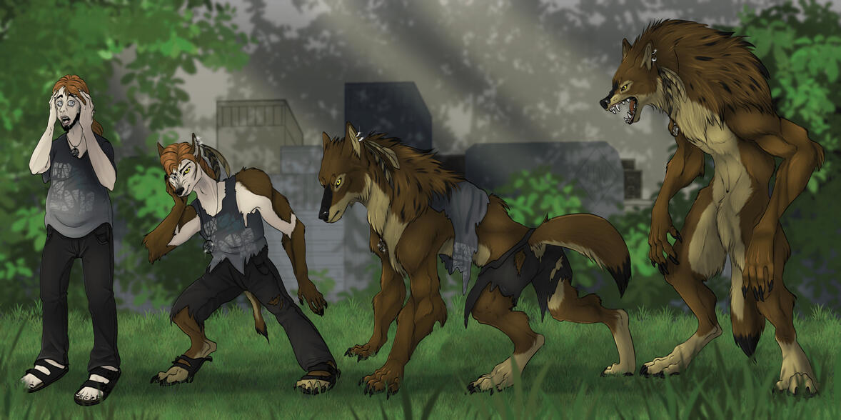 Werewolf transformation