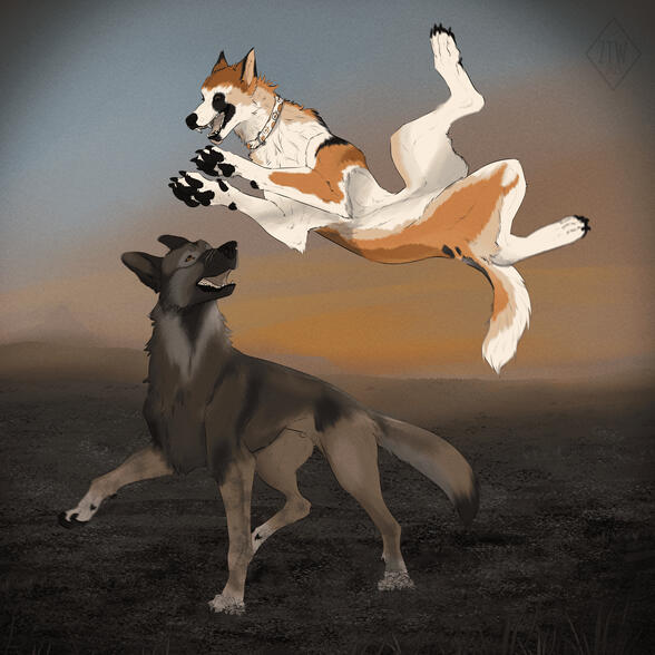 Dogs playing
