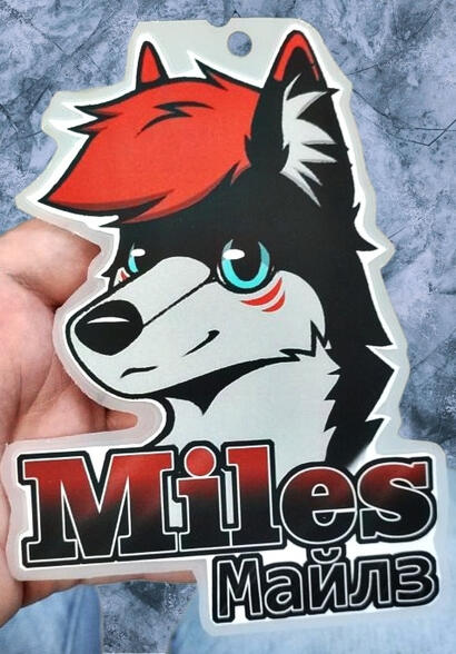 Badge &quot;economy&quot; #1